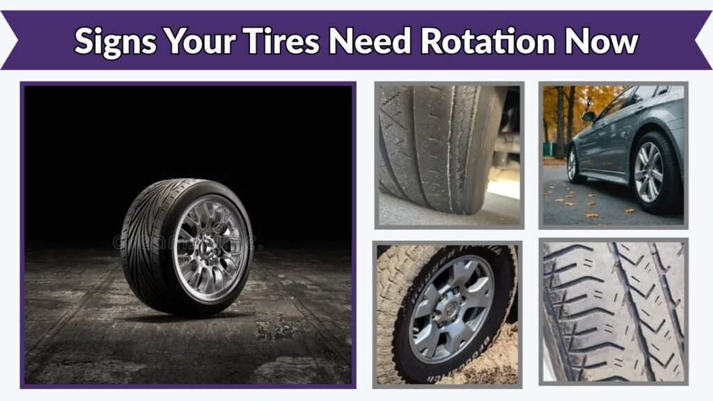 Signs Your Tires Need Rotation Now