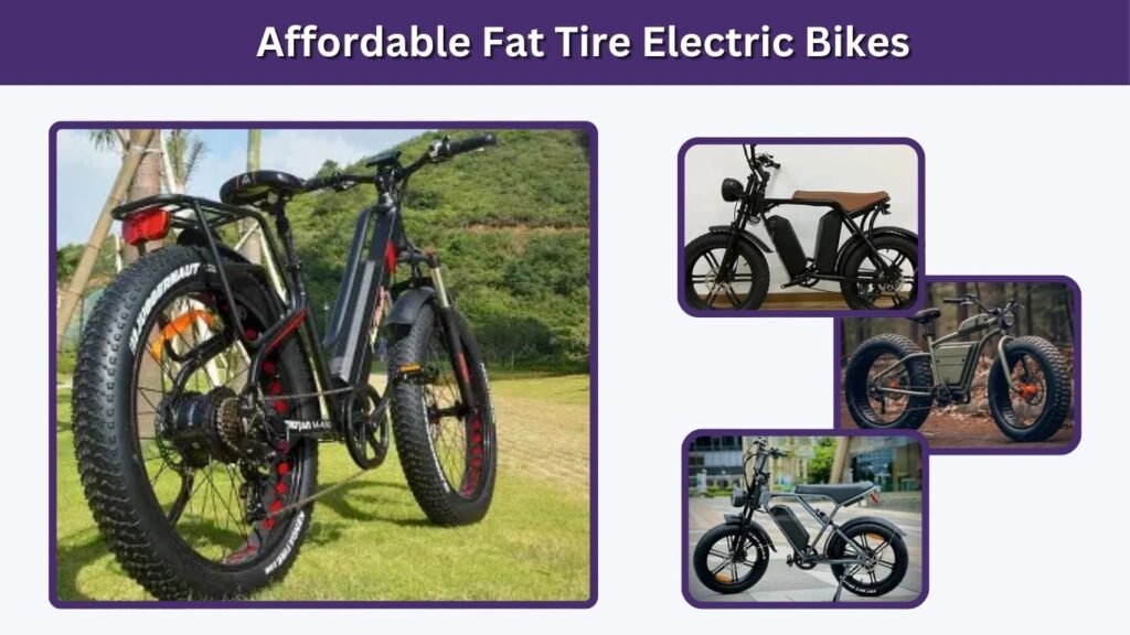 Affordable Fat Tire Electric Bikes