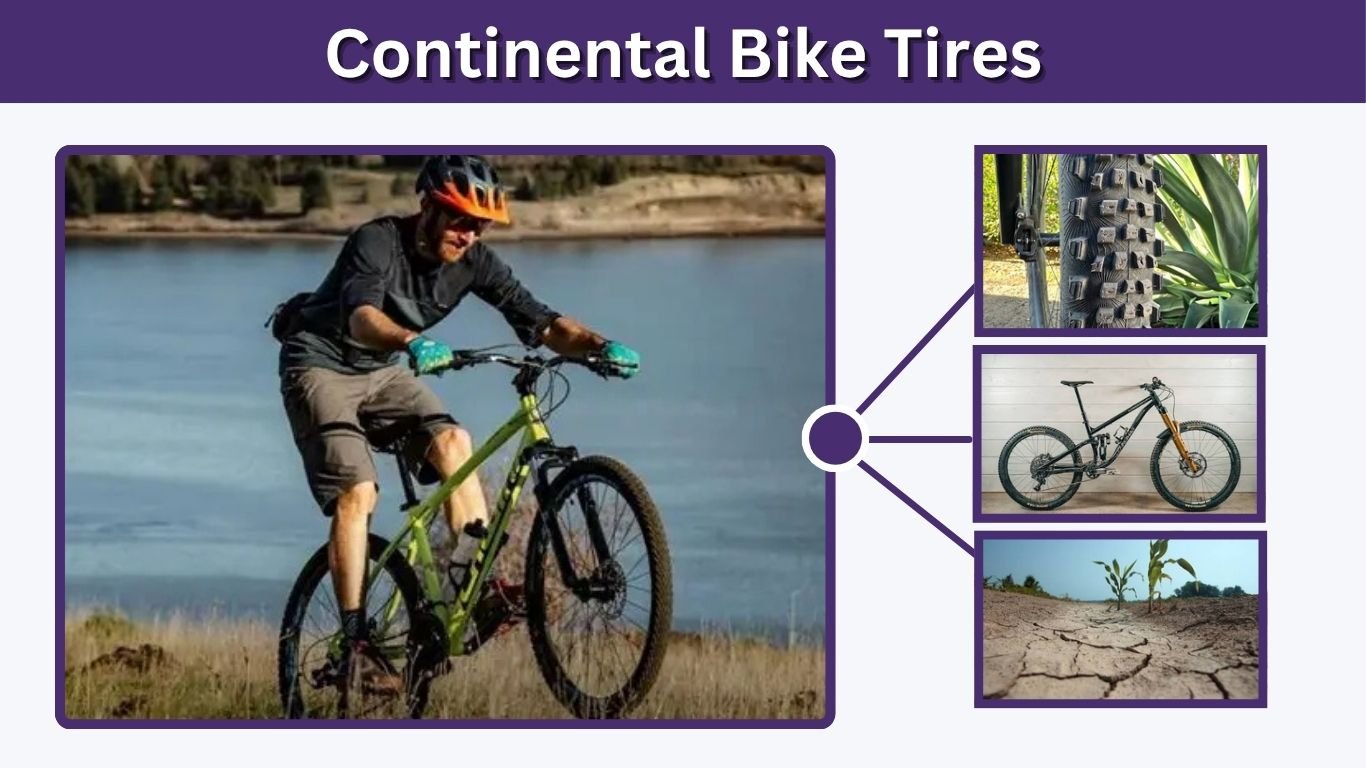 Continental Bike Tires: Road, MTB, Gravel and Size Guide