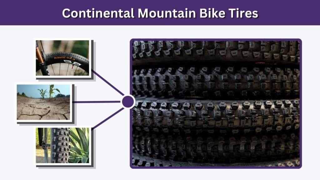 Continental Mountain Bike Tires